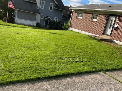 Lawn care service in Harrisburg, 17109