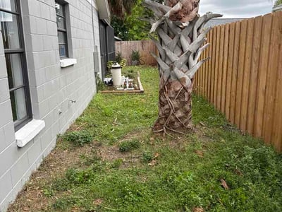 Lawn care service in Tampa, 33624