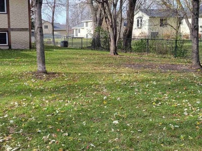 Lawn care service in , 