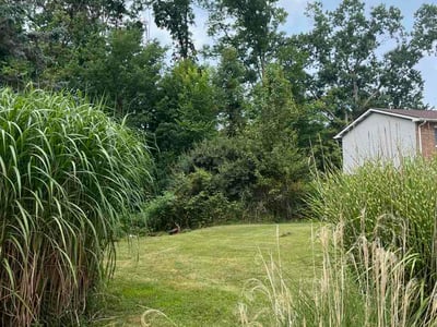 Lawn care service in Wadsworth, 44281