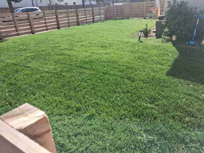 Lawn care service in Denver, 80210