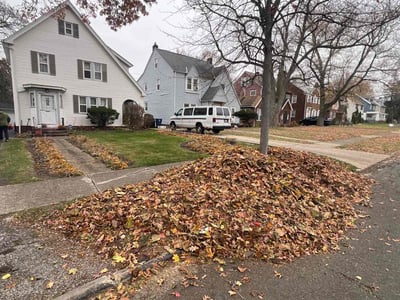 Lawn care service in Cleveland Heights, 44118