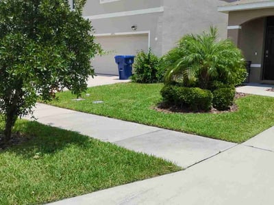 Lawn care service in San Antonio, 33576