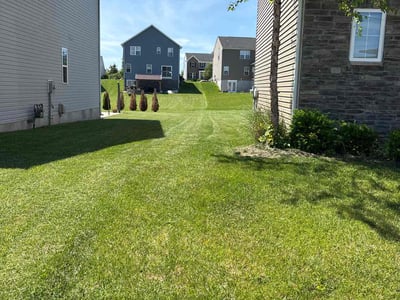 Lawn care service in South Lebanon, 45065