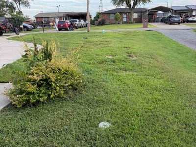 Lawn care service in Nashville, 37115