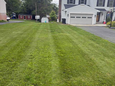 Lawn care service in Lancaster, 17601