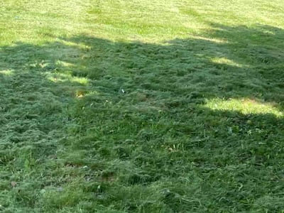 Lawn care service in Indianapolis, 46240