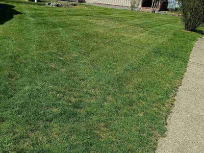Lawn care service in Harrisburg, 17109