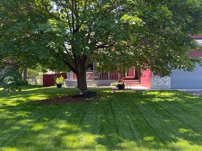 Lawn care service in Minneapolis, 55443