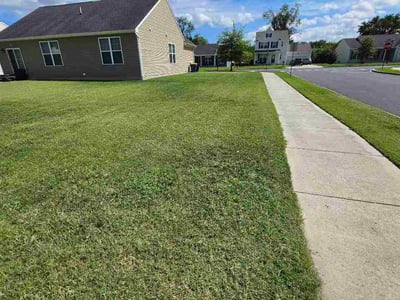 Lawn care service in Dover, 19901