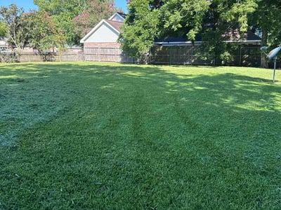 Lawn care service in Lafayette, 70503