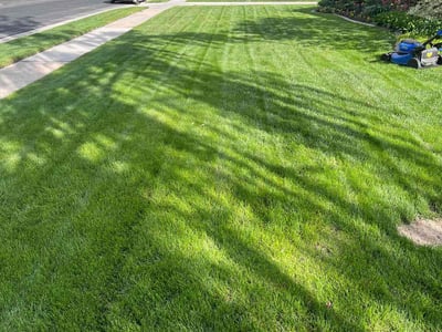 Lawn care service in Murray, 84107