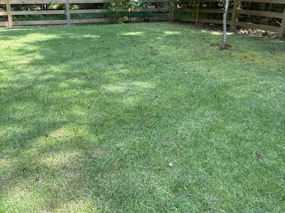 Lawn care service in Alpharetta, 30022