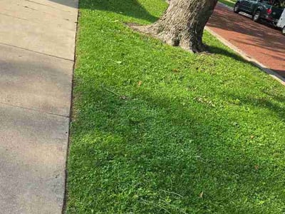 Lawn care service in Oak Park, 60304