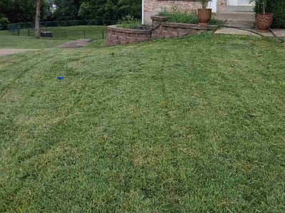 Lawn care service in St. Louis, 63123