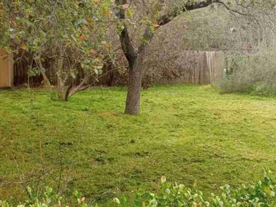 Lawn care service in San Antonio, 78230