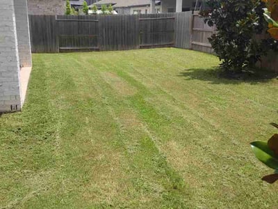 Lawn care service in Fulshear, 77441