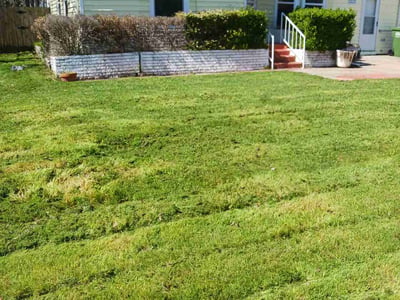Lawn care service in White Settlement, 76108