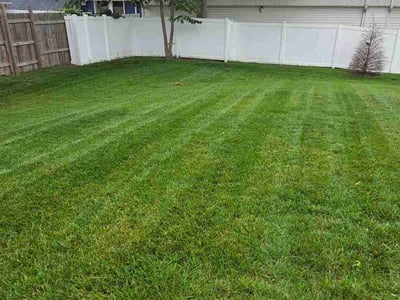 Lawn care service in Kirkwood, 63122