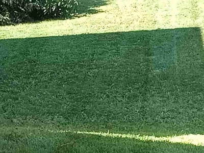 Lawn care service in Blaine, 55434