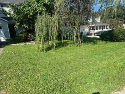Lawn care service in Winston-Salem, 27107