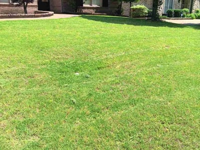 Lawn care service in Collierville, 38017