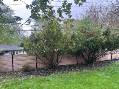 Lawn care service in Southfield, 48076