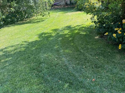 Lawn care service in West Jordan, 84081