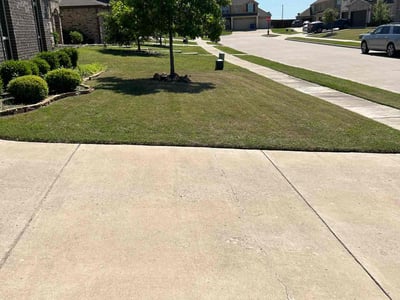 Lawn care service in Forney, 75126