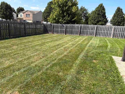Lawn care service in Greenwood, 46143