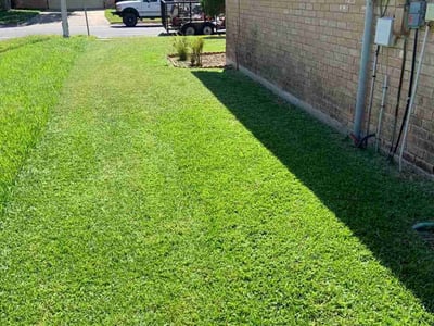 Lawn care service in Brownsville, 78520