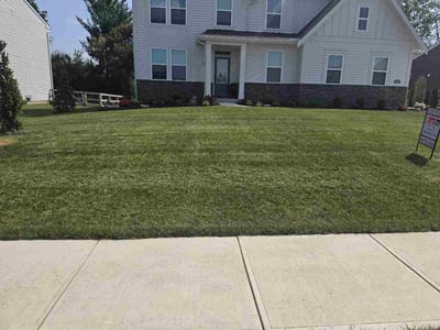 Lawn care service in Hebron, 41048