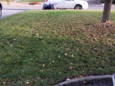 Lawn care service in Spokane, 99223