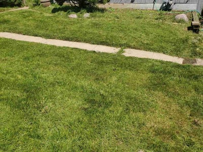 Lawn care service in Crystal Lake, 60014