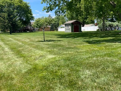 Lawn care service in Dayton, 45431