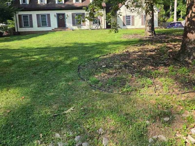 Lawn care service in Triangle, 22172