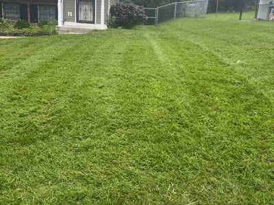 Lawn care service in Catonsville, 21228