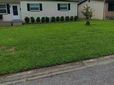 Lawn care service in Jacksonville, 32216