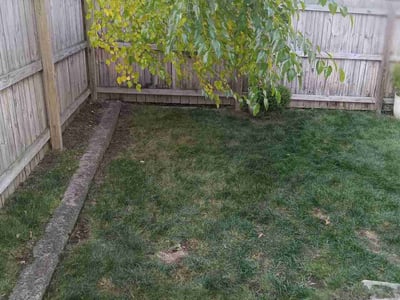 Lawn care service in , 