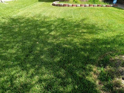Lawn care service in La Marque, 77568