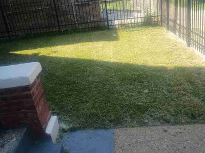 Lawn care service in Chicago, 60621