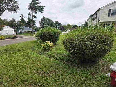 Lawn care service in Willingboro, 08046