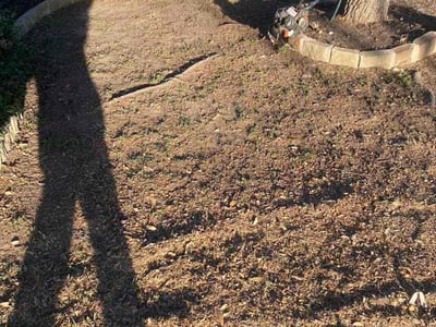 Lawn care service in Haslet, 76052