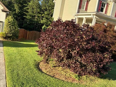 Lawn care service in Dallas, 30157
