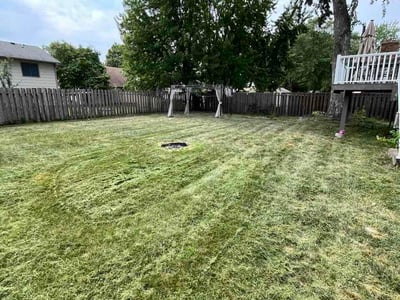 Lawn care service in Minneapolis, 55444