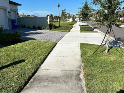 Lawn care service in Wesley Chapel, 33545
