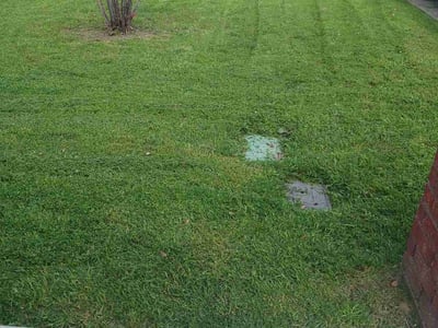 Lawn care service in Arlington, 76013