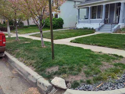 Lawn care service in Salt Lake City, 84103
