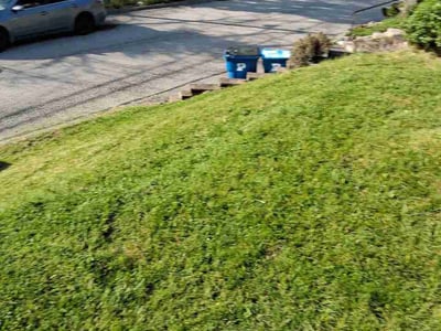 Lawn care service in Pittsburgh, 15235