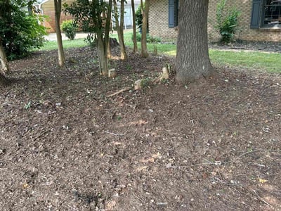 Lawn care service in Charlotte, 28215